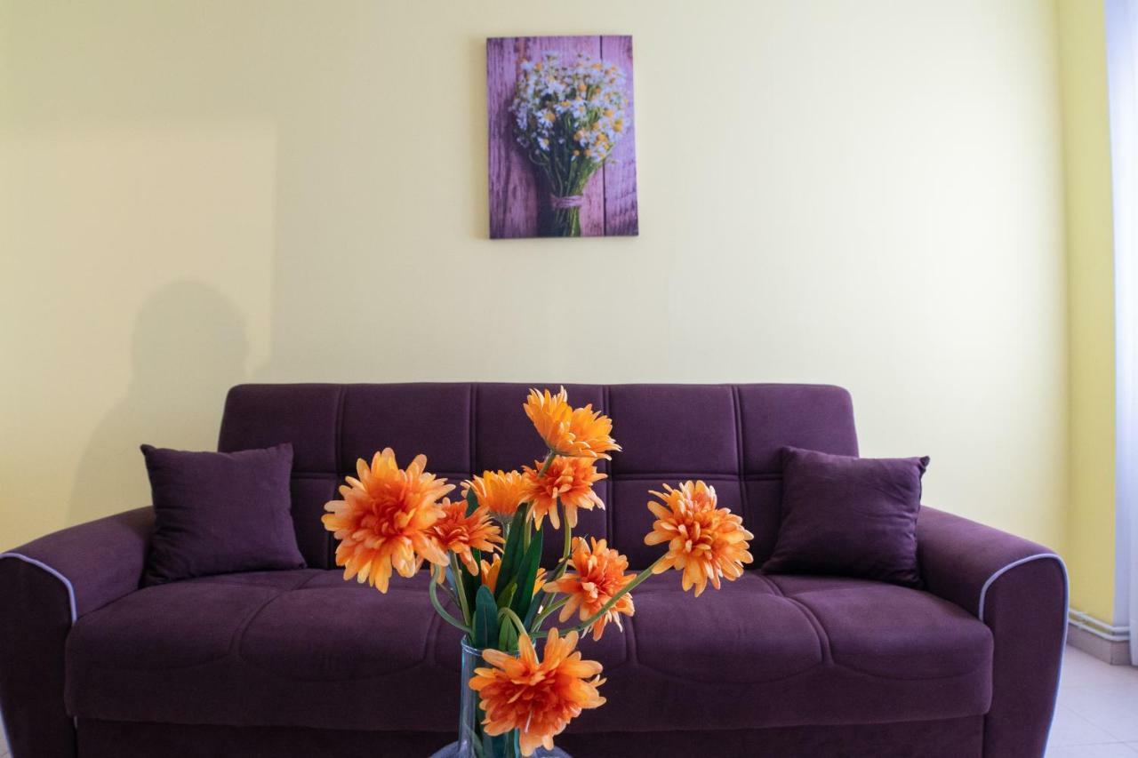Apartamentos Enteros O Lagar Melide Extérieur photo